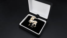 Load image into Gallery viewer, UJOY Dream Unicorn Brooch Cute Temperament Fashion Brooch Gifts for Men Women Daughter Teacher