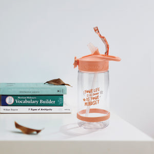 SARIHOSY Tritan Straw Water Bottle Sport Cute Heat Resisting 500ML Gift for Everyone